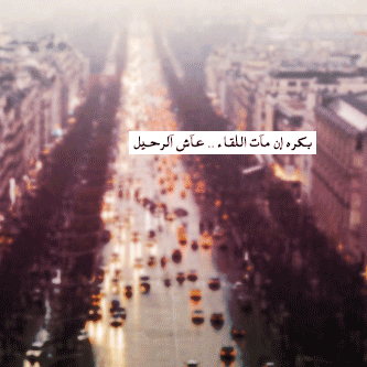 .. bntpal_1428230336_25