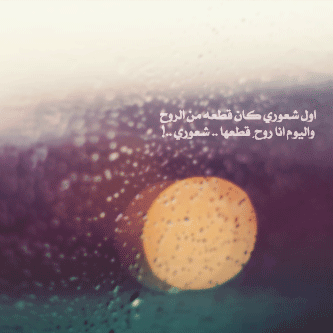 .. bntpal_1428230339_74