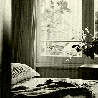 .. bntpal_1428230341_27