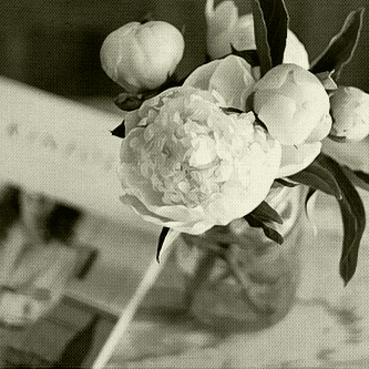 .. bntpal_1428230341_89