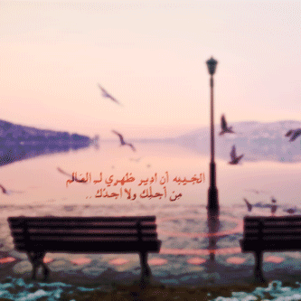 .. bntpal_1428230344_26