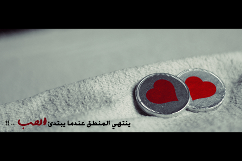 bntpal_1428230412_28