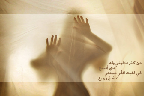 bntpal_1428230416_24