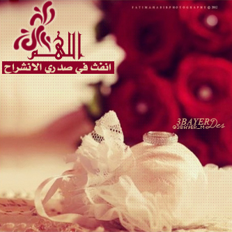 bntpal_1428251139_20
