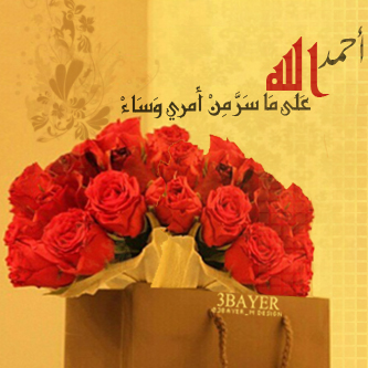 bntpal_1428251145_60
