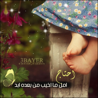 bntpal_1428251153_19