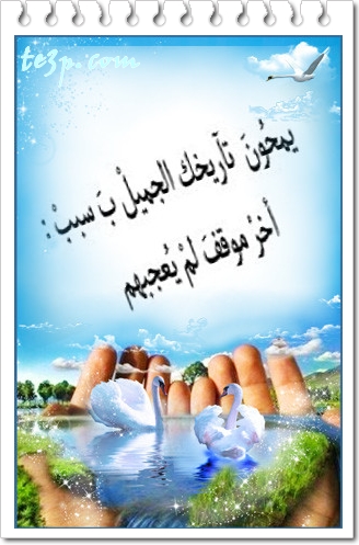 bntpal_1428251313_94