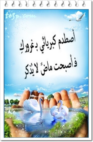 bntpal_1428251314_21