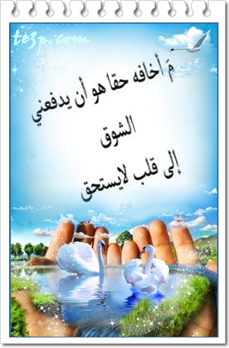 bntpal_1428251316_30