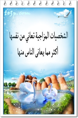 bntpal_1428251317_21