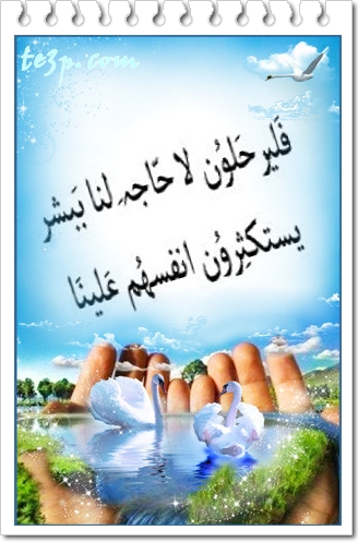 bntpal_1428251318_82