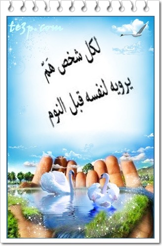 bntpal_1428251319_96