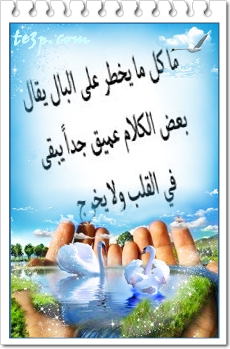 bntpal_1428251320_71