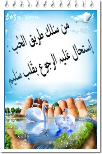 bntpal_1428251321_91