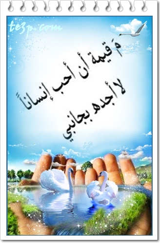 bntpal_1428251323_35