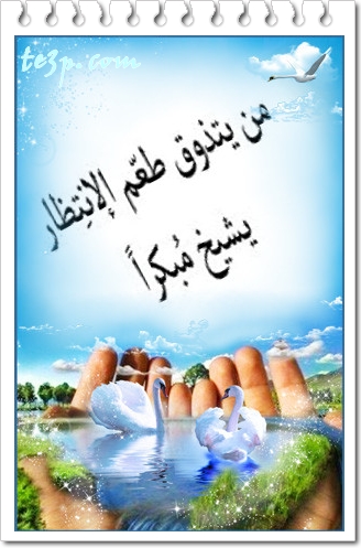 bntpal_1428251325_22