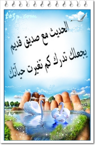 bntpal_1428251326_87