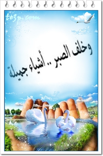 bntpal_1428251328_37