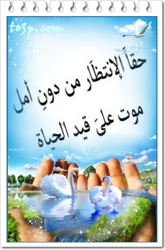 bntpal_1428251330_62