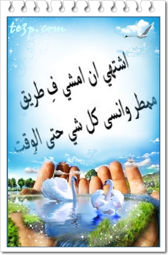bntpal_1428251331_57