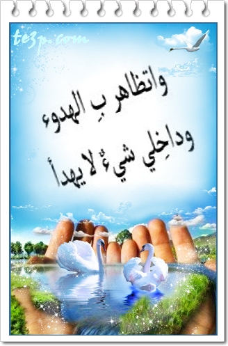 bntpal_1428251333_16