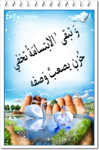bntpal_1428251335_20