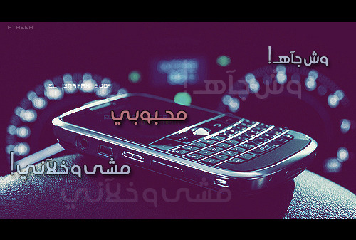   bntpal_1428251717_26