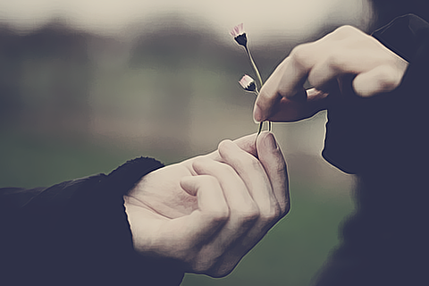 bntpal_1428251897_44