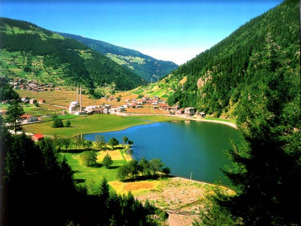 bntpal_1428276324_64