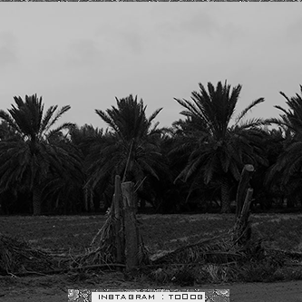 bntpal_1428311139_24
