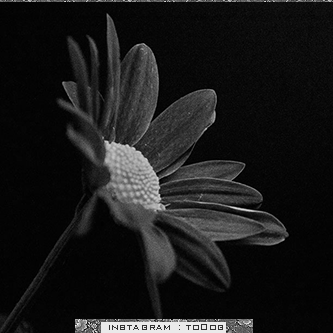 bntpal_1428311139_71