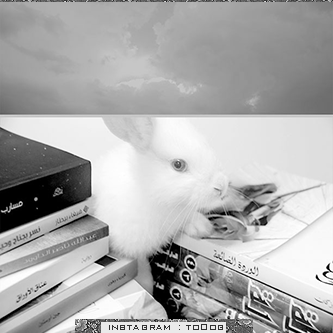 bntpal_1428311140_10