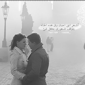 bntpal_1428311142_63