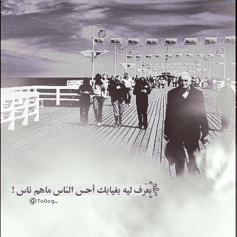 bntpal_1428311143_35