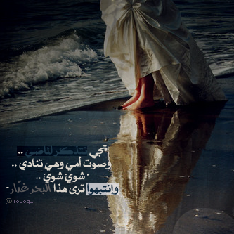 bntpal_1428311143_61