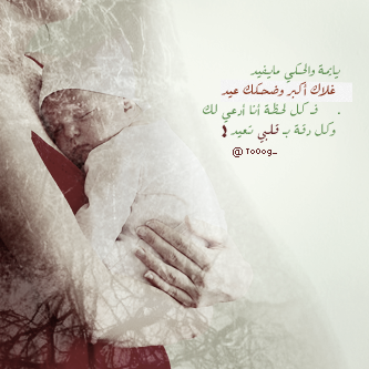 bntpal_1428311145_26