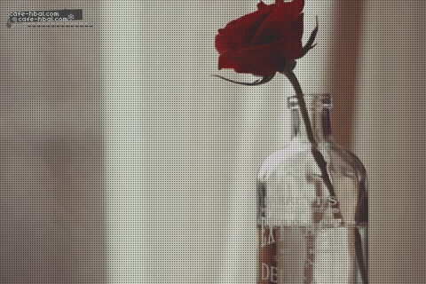 bntpal_1428311199_93