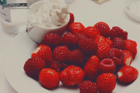 bntpal_1428311200_79