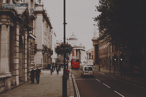 bntpal_1428311203_73