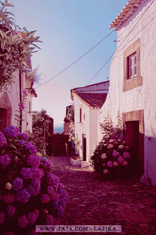 bntpal_1428311363_96