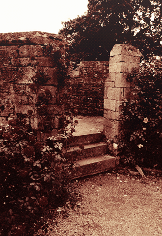  bntpal_1428331740_10
