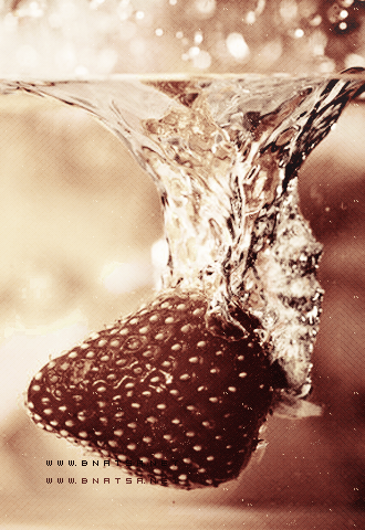  bntpal_1428331740_48
