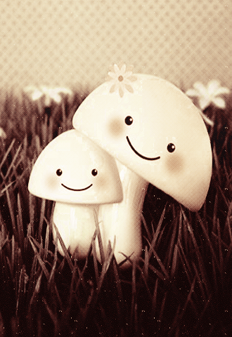  bntpal_1428331746_34