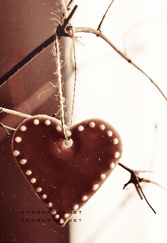  bntpal_1428331749_34