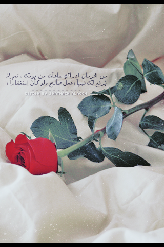  2015 2016 bntpal_1428466290_50