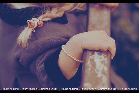  2015 2016 bntpal_1428467563_88