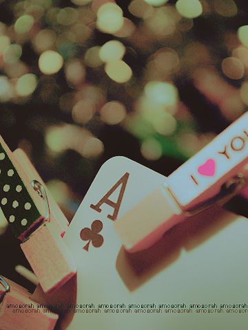 2015 2016 bntpal_1428467614_44