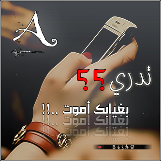 2015 2016 bntpal_1428467689_59