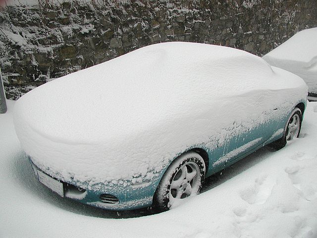 bntpal_1428471082_97