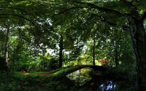   ﮯ bntpal_1428516448_50